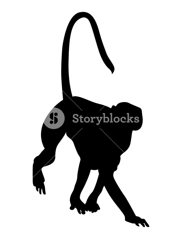761x1000 Monkey Silhouette Royalty Free Stock Image