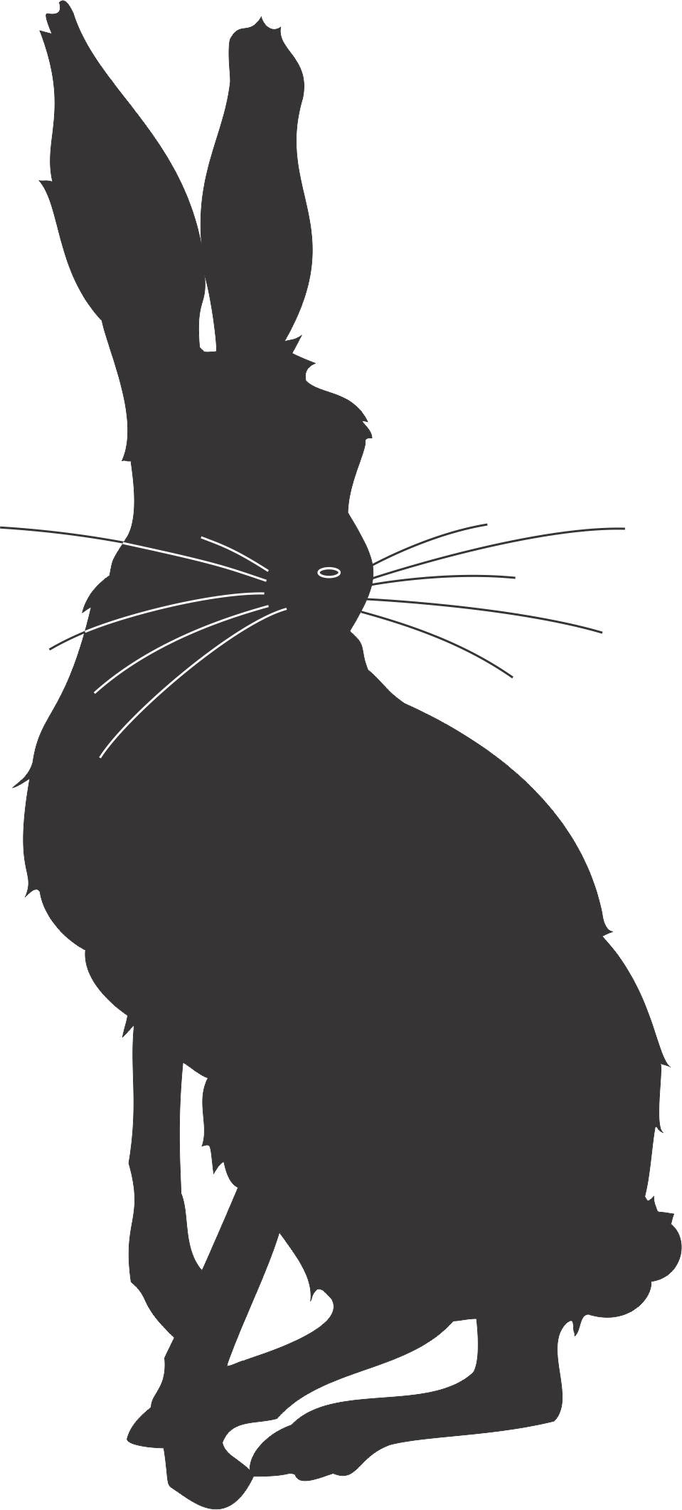 959x2122 Cartoon Rabbit Silhouette 02.jpg Pixels Letters, Etc