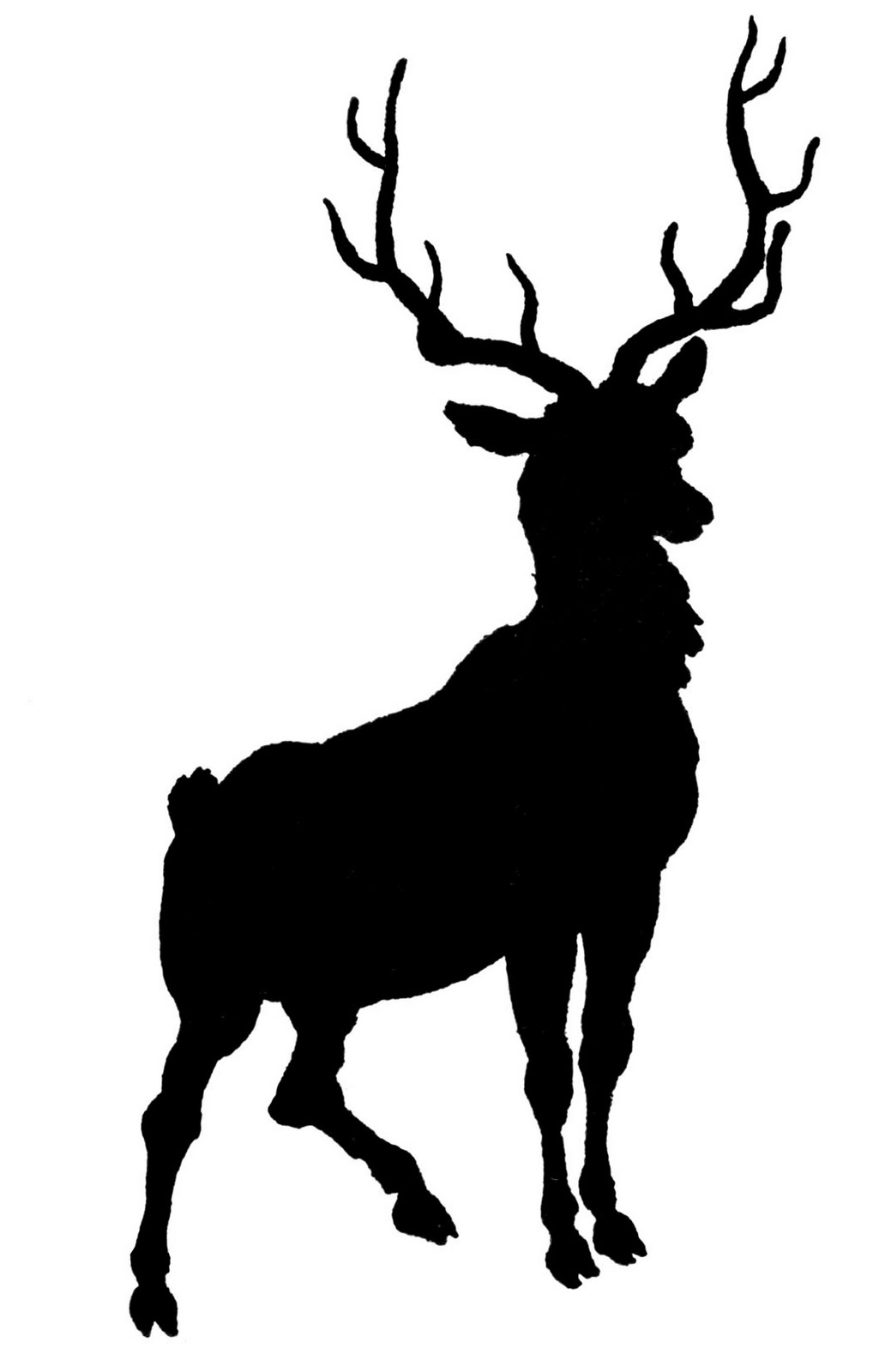 1032x1600 Stag Clipart Cute Deer Many Interesting Cliparts