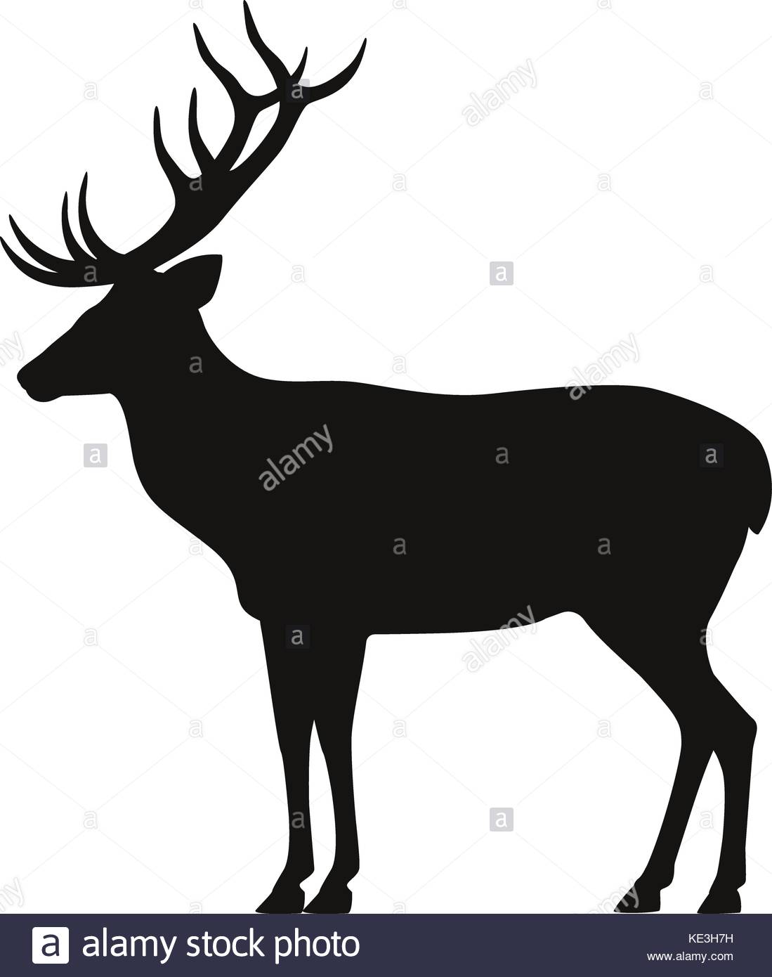 1099x1390 Vector Black Silhouette Horned Deer Icon Side View Stock Vector