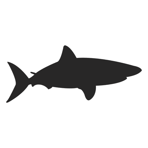 512x512 Gray Shark Silhouette