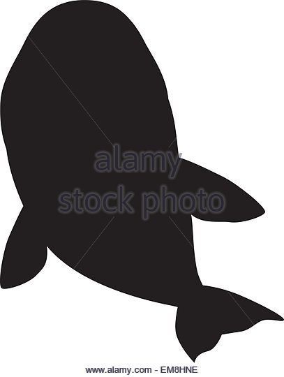 407x540 Shark Attack Stock Vector Images