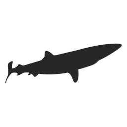 256x256 Shark Fish Cartoon