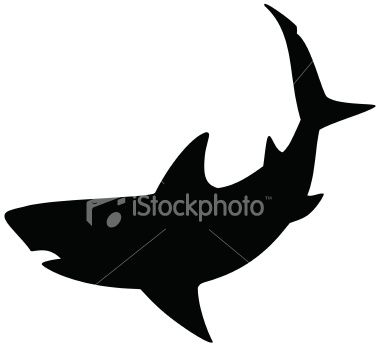380x347 Dangerous Looking White Shark. Designed To Fit Inside A Circle