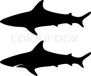 320x270 Silhouette Of Hammerhead Shark Stock Vector Colourbox