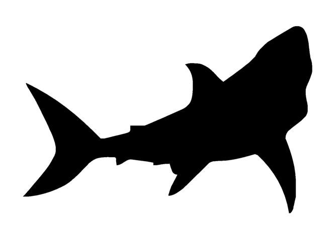 668x480 Shark Silhouette