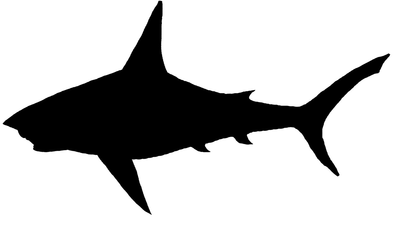 Cartoon Shark Silhouette at GetDrawings | Free download