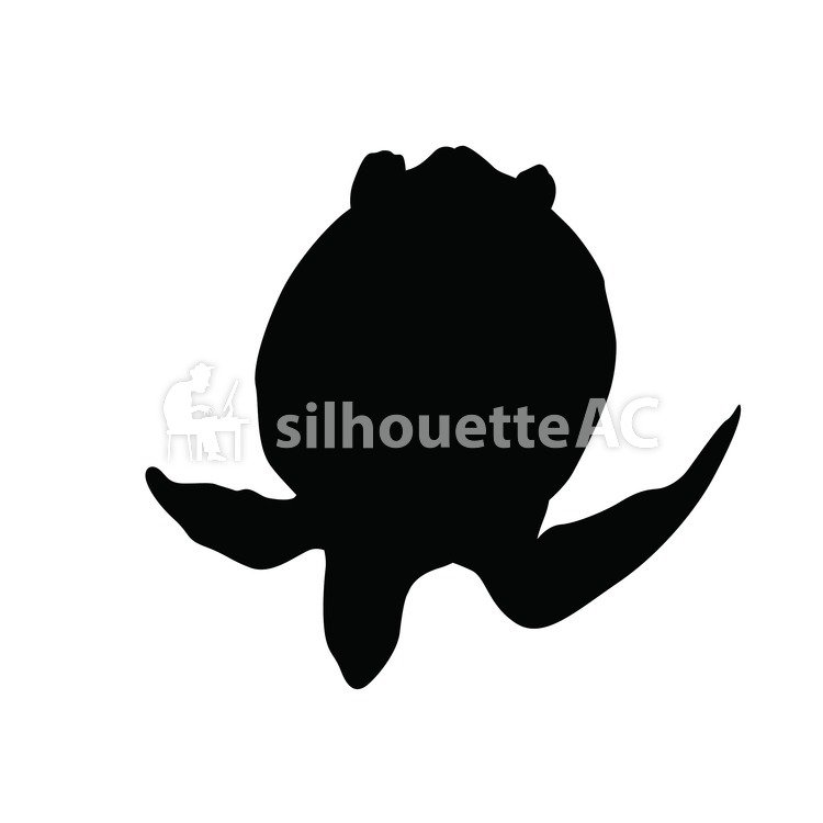 750x750 Free Silhouettes Turtle, Green Turtle
