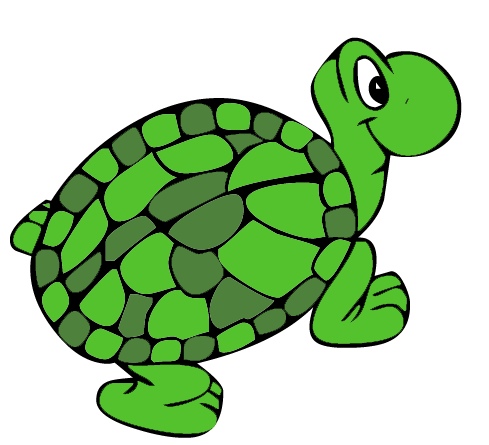 489x445 Lovely Design Sea Turtle Clipart Mickey Mouse Head Green