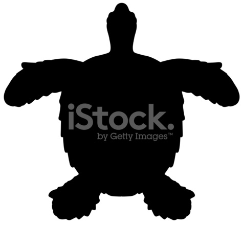 473x440 Sea Turtle Stock Vector