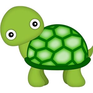 300x300 Silhouette Design Store Turtle Tartarugas