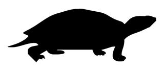 320x139 Turtle Silhouette 1 Decal Sticker