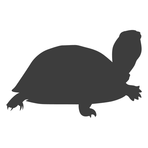 Cartoon Turtle Silhouette at GetDrawings | Free download