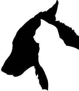 263x300 Dog And Cat Head Silhouette For My Tech Shoes Projects To Try