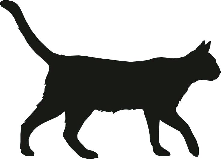 736x531 Outline Illustration Of Sitting Cat Stock Image And Royalty Free