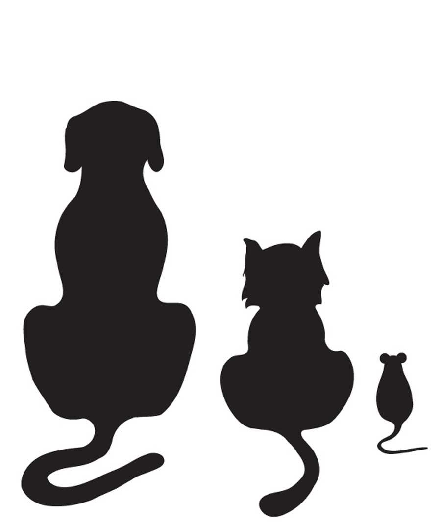 900x1080 Dog,cat,mouse