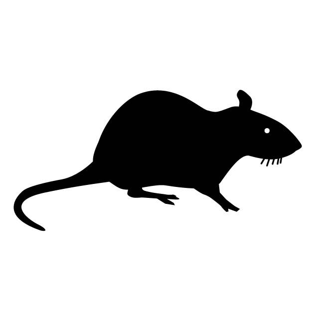 Cat And Mouse Silhouette at GetDrawings | Free download