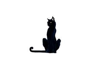 300x225 8 Best Prince Images On Black Cats, Cat Eyes