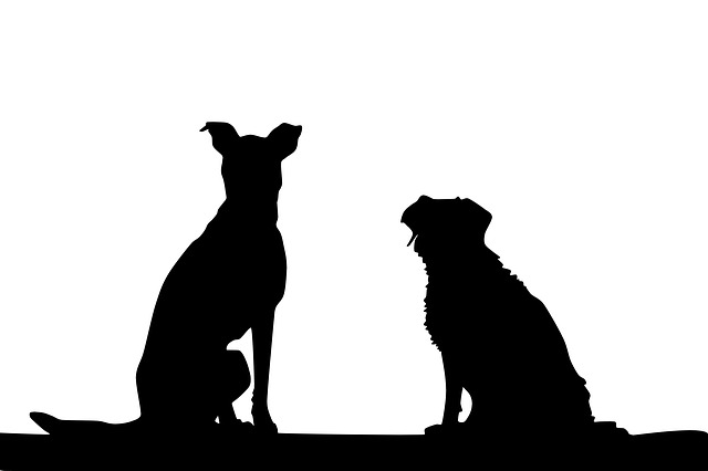 640x426 Free Photo Drawing Profile Animal Puppy Animals Dog