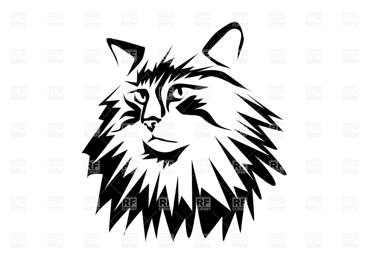 1200x841 Portrait Of Norwegian Forest Cat