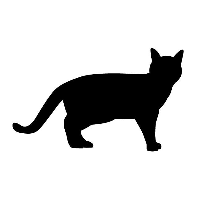640x640 Cat Animal Silhouette Free Illustrations