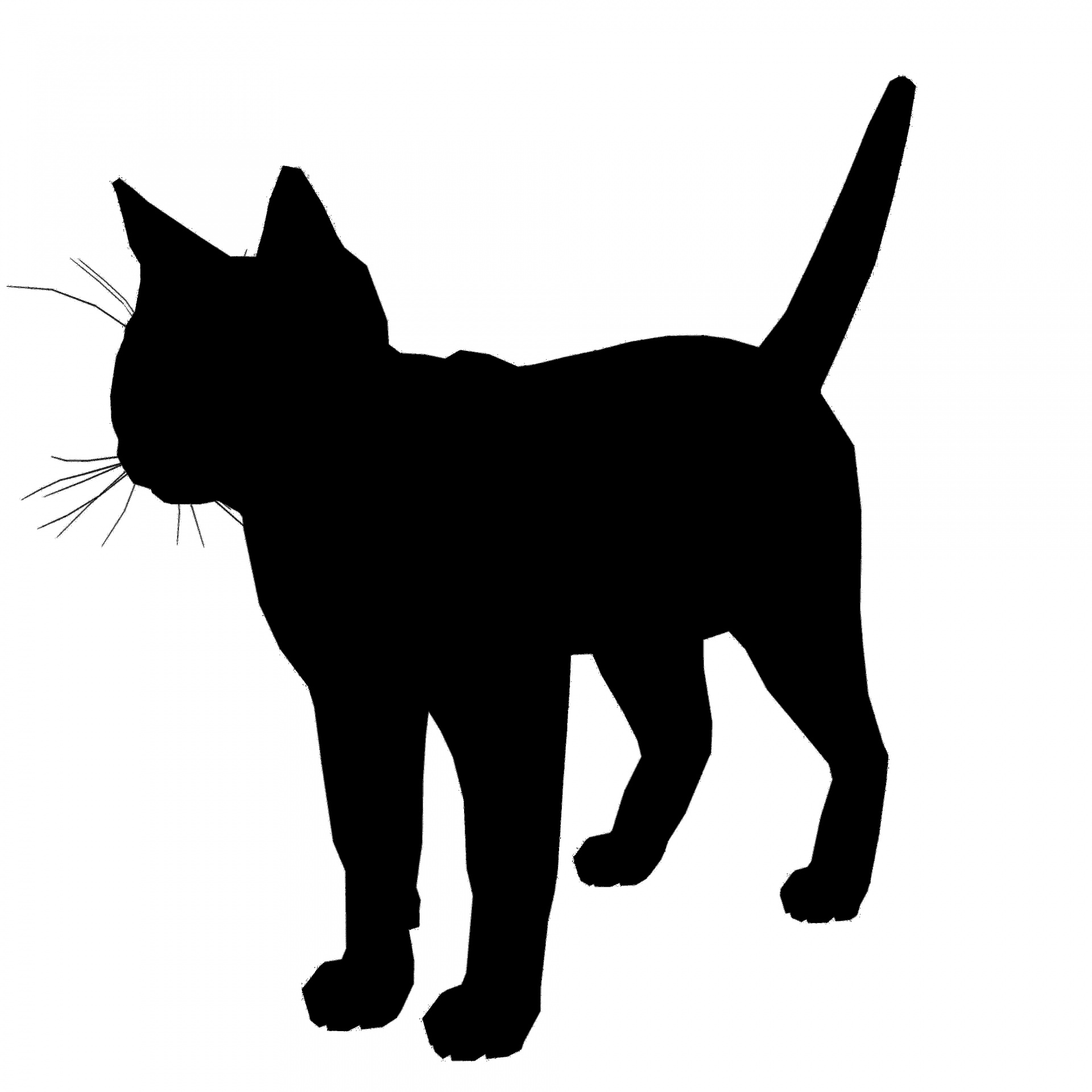 1920x1920 Cat Silhouette Free Stock Photo