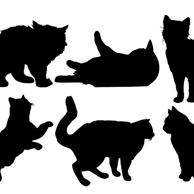 650x650 Free Vector Free Cat Silhouette Vector