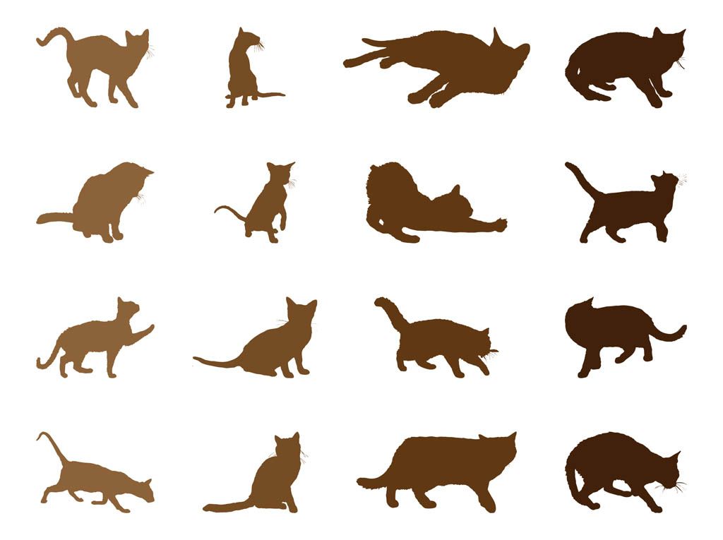 1024x765 Free Cat Vectors Mir V Sunduke Cat Vector