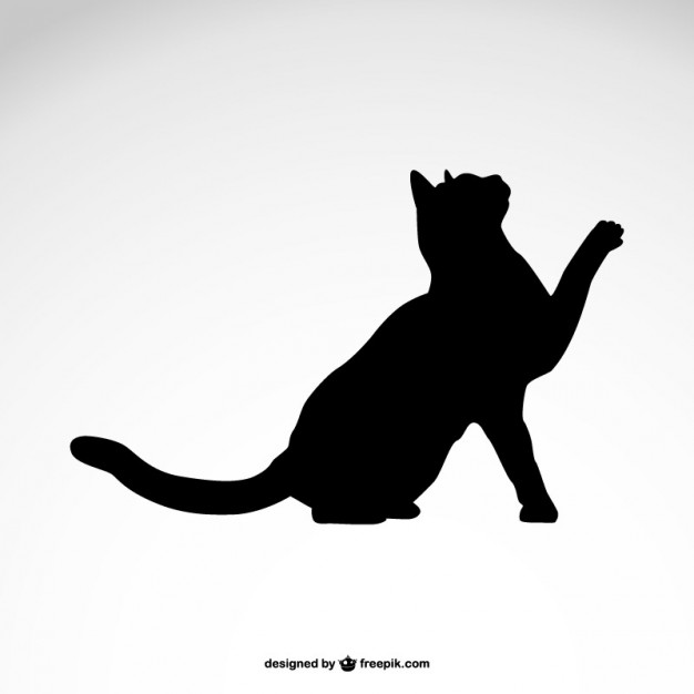 626x626 Cat Silhouette Vector