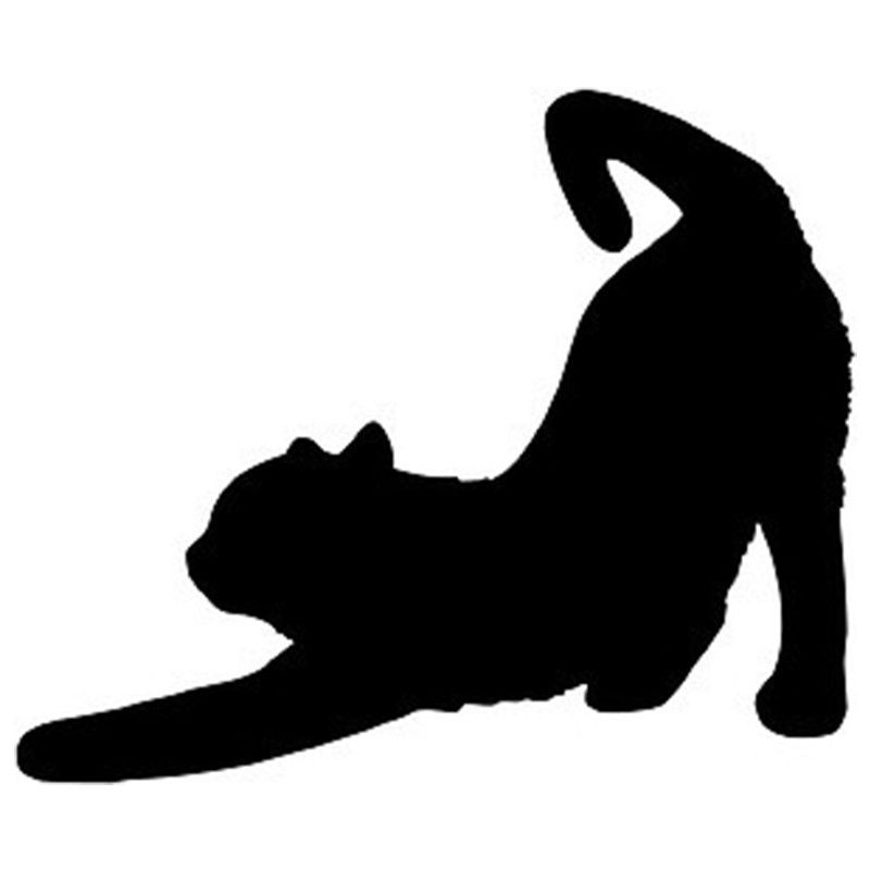 800x800 Black Cat Stretching Car Windowlaptop Sticker Vinyl Decal Want