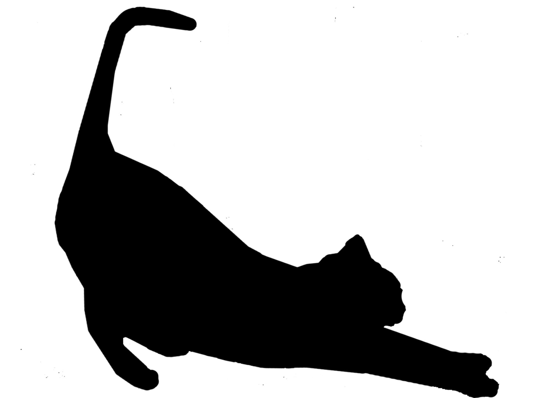 1920x1371 Cat Stretch Silhouette In Black Free Stock Photo