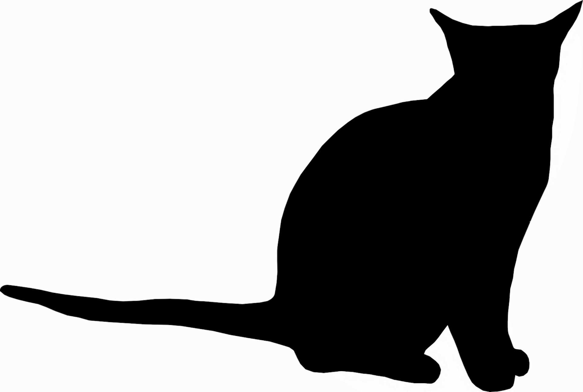 1920x1293 Silhouette Cat Free Stock Photo