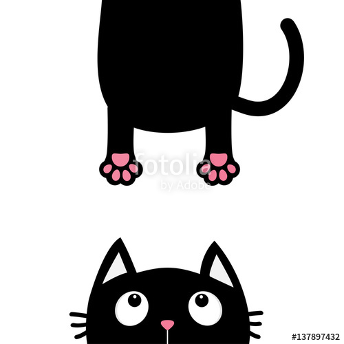 500x500 Black Cat Looking Up. Funny Face Head Silhouette. Hanging Fat Body