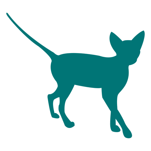 512x512 Egiptian Cat Walking Silhouette