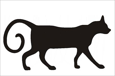 480x320 44 Spooky Cat Pumpkin Stencils You'Ll Love Carving This Halloween