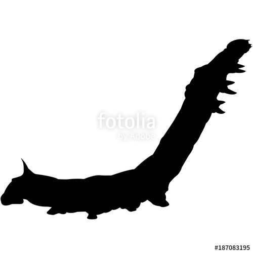 500x500 Silkworm Silhouette Vector Graphics Stock Image And Royalty Free