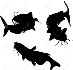 Catfish Silhouette