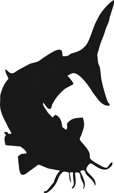 380x640 Fish Catfish Laser Cut Silhouette