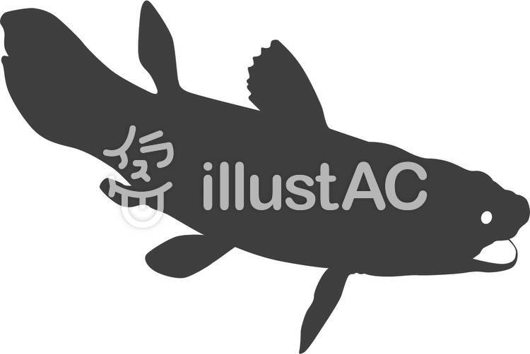 750x502 Free Cliparts Fish, Sea, Silhouette