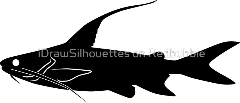 800x344 Gafftopsail Catfish Fish Silhouette (Black) Canvas Prints By