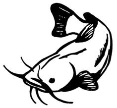 236x218 Image Result For Catfish Drawings Fish Catfish