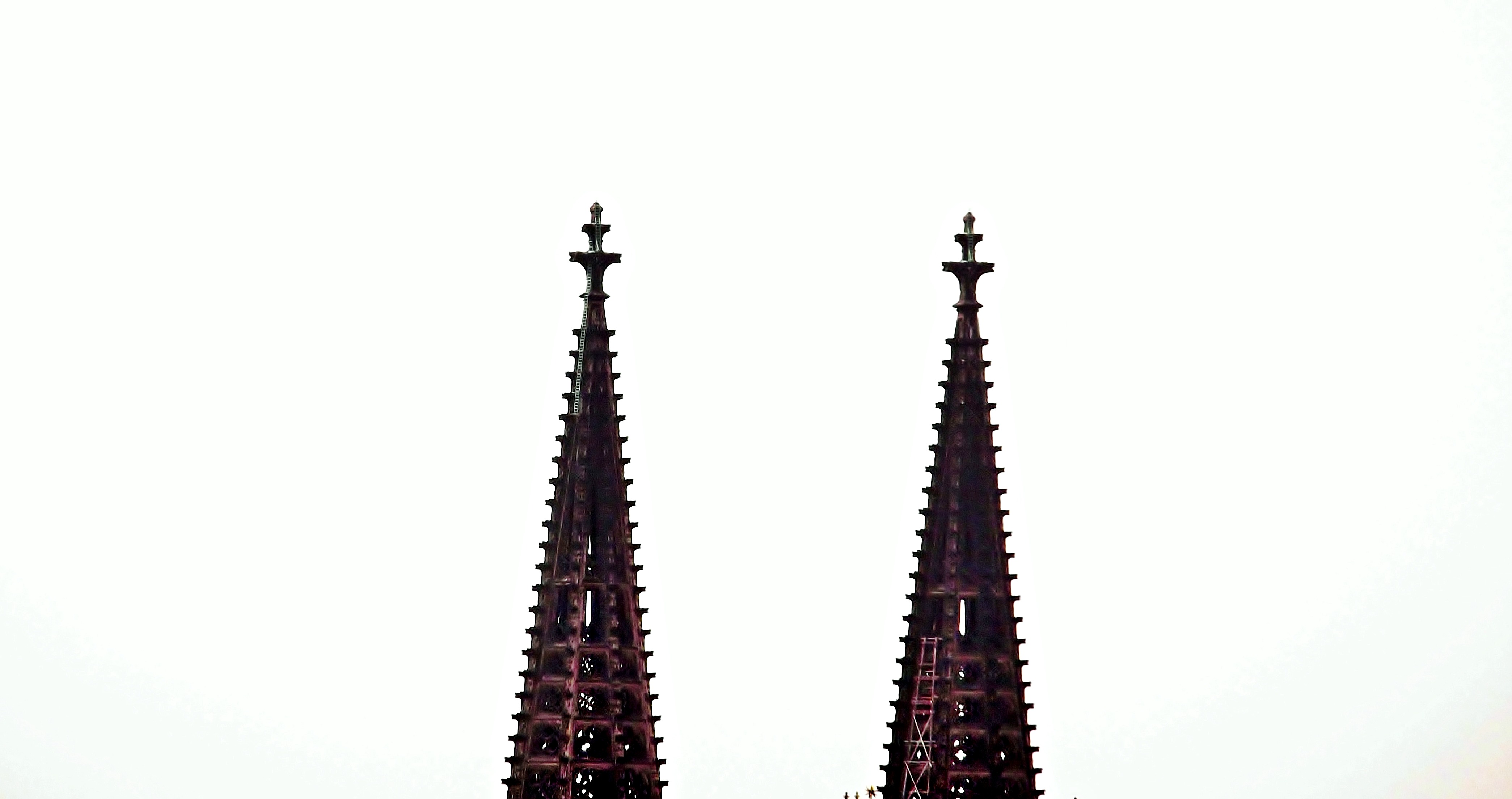 4178x2208 Silhouette. Kleesbutterfly A Travelblog