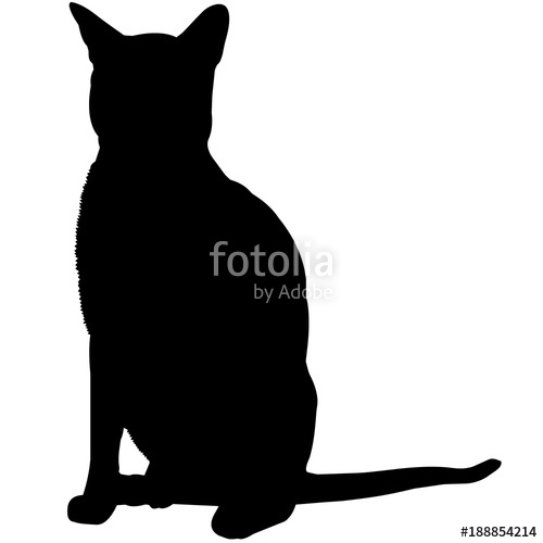 500x500 Abyssinian Cat Silhouette Vector Graphics Stock Image And Royalty
