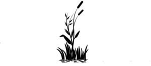 300x132 Cattails Clipart