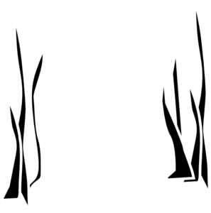 297x300 Cattail Clipart