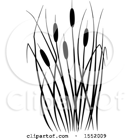 Cattails Silhouette at GetDrawings | Free download