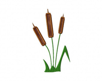 340x270 Silhouette Of Cattails