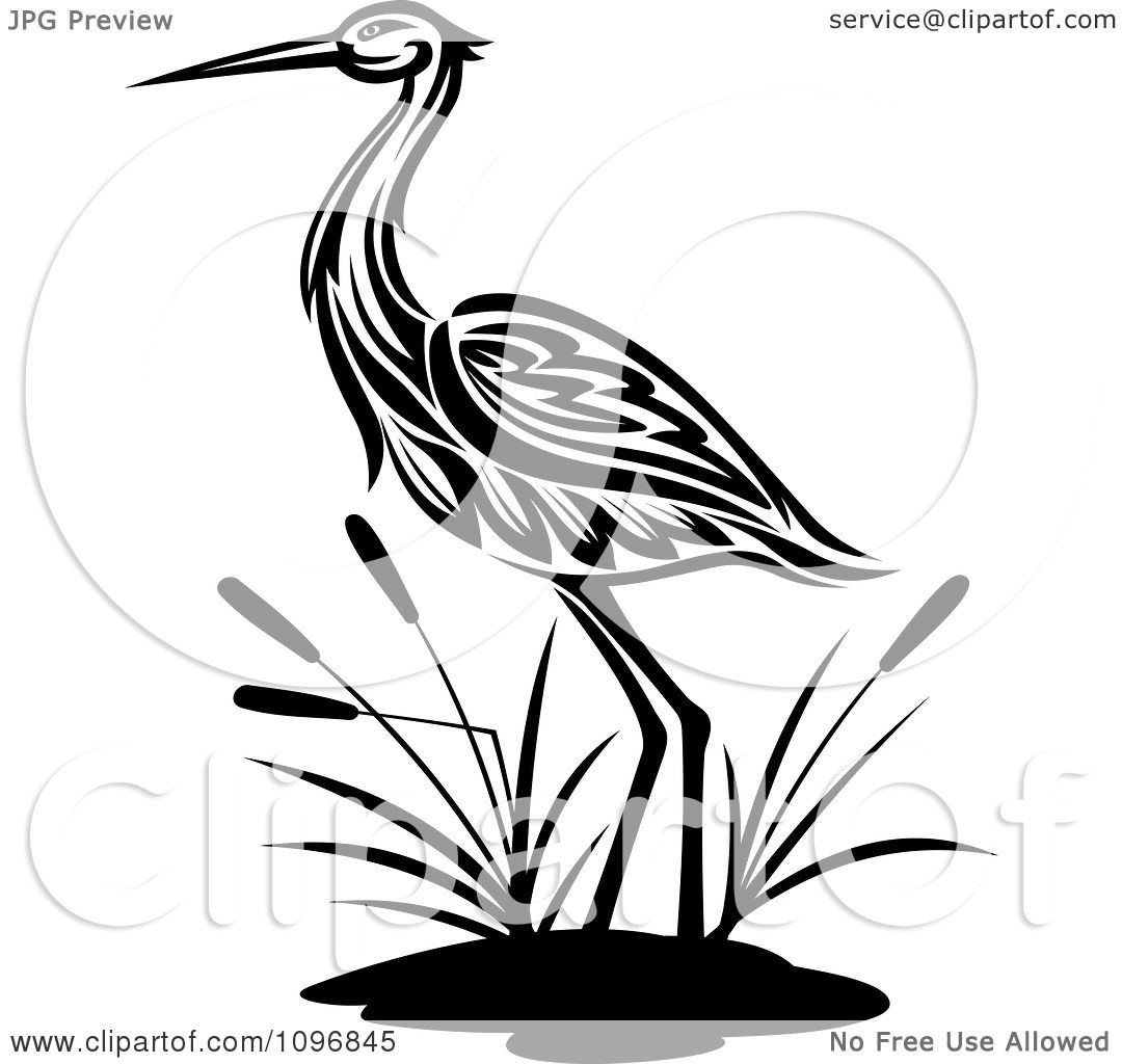 1080x1024 Cattail Clipart Black And White
