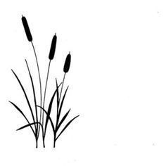 236x236 Cattails Clipart