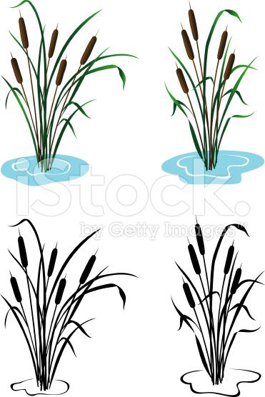 371x556 Cattails Silhouette